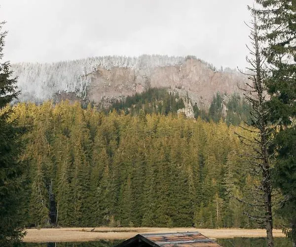 Black Box Apartment *